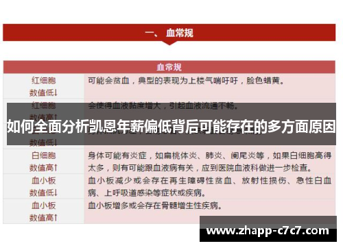 如何全面分析凯恩年薪偏低背后可能存在的多方面原因