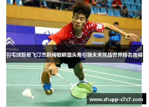 羽毛球新星飞汀杰蔚阀敏崭露头角引领未来挑战世界排名高峰