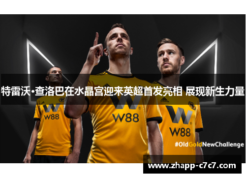 特雷沃·查洛巴在水晶宫迎来英超首发亮相 展现新生力量