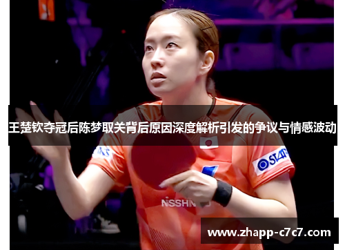 王楚钦夺冠后陈梦取关背后原因深度解析引发的争议与情感波动