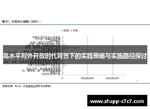 高水平对外开放时代背景下的实践策略与实施路径探讨